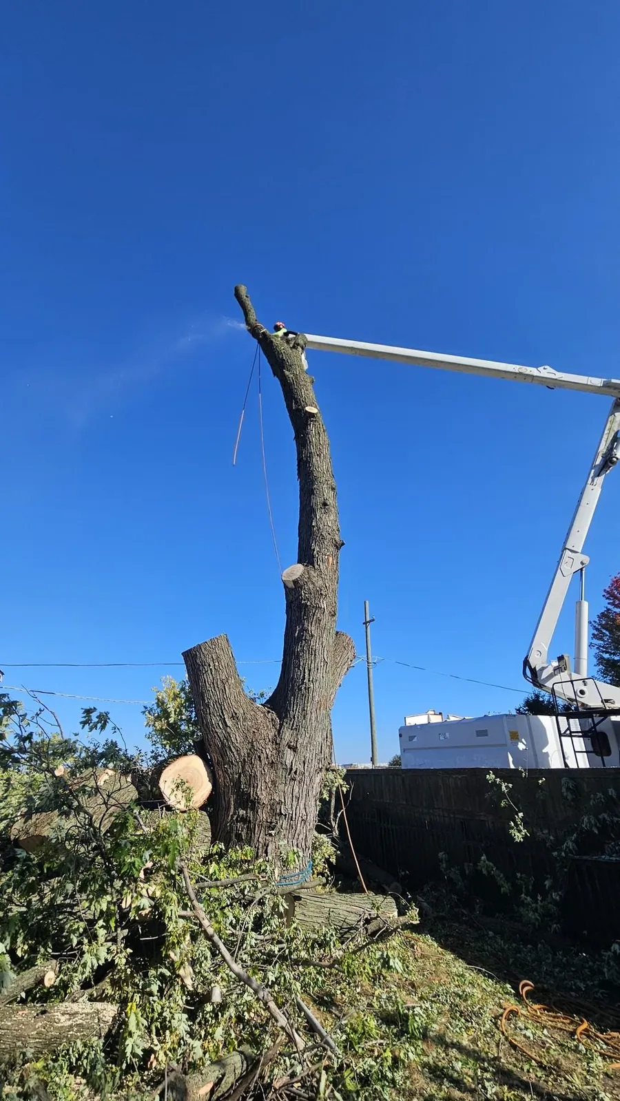 Bucket truck and brush from a tree removal
