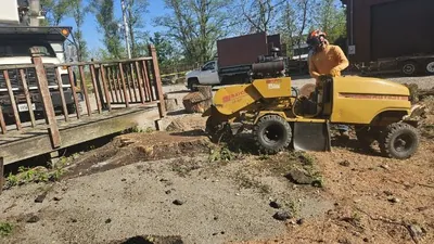 Stump grinder working in a backyard